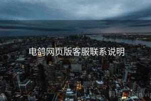 电鸽网页版客服联系说明