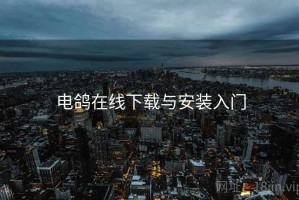 电鸽在线下载与安装入门
