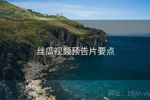 丝瓜视频预告片要点