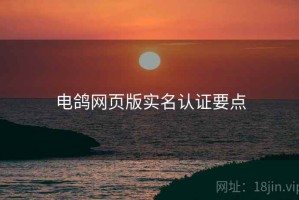 电鸽网页版实名认证要点