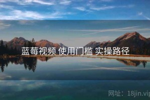 蓝莓视频 使用门槛 实操路径
