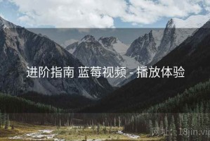 进阶指南 蓝莓视频 - 播放体验