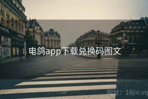 电鸽app下载兑换码图文