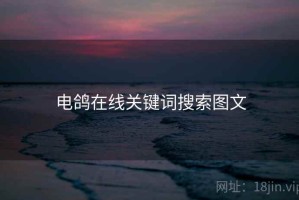 电鸽在线关键词搜索图文