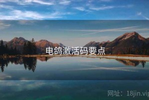 电鸽激活码要点