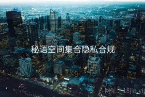 秘语空间集合隐私合规
