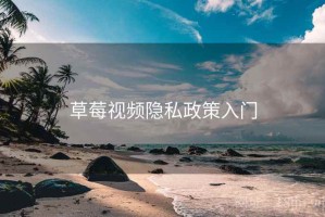 草莓视频隐私政策入门