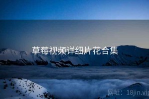 草莓视频详细片花合集