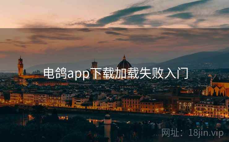 电鸽app下载加载失败入门