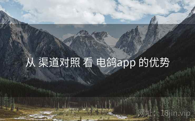 从 渠道对照 看 电鸽app 的优势