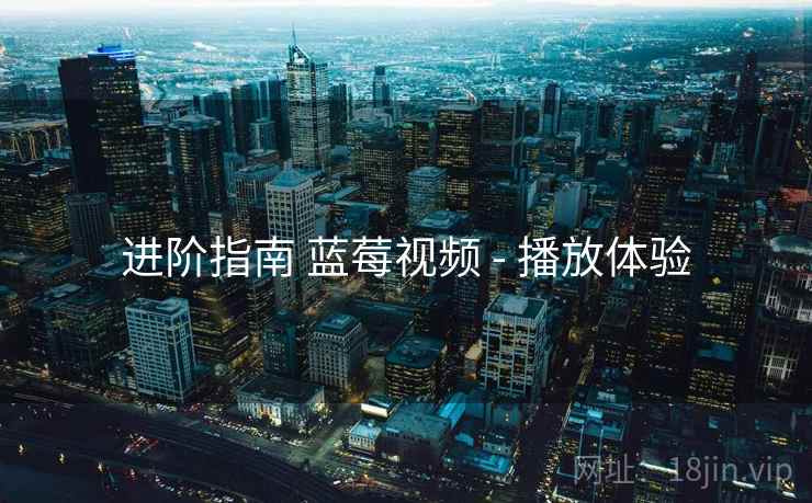 进阶指南 蓝莓视频 - 播放体验