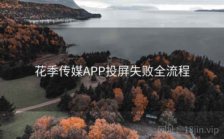 花季传媒APP投屏失败全流程