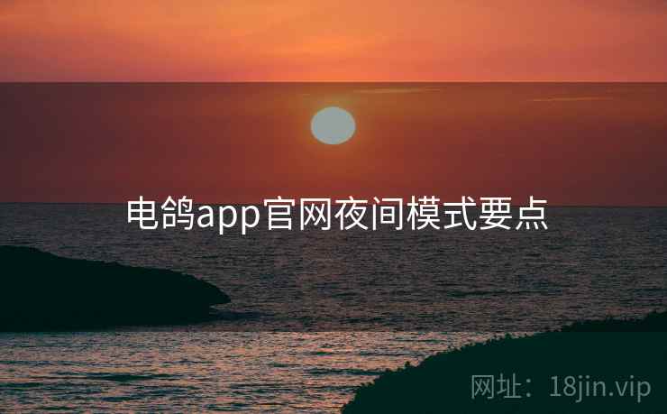 电鸽app官网夜间模式要点