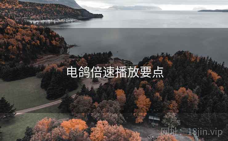 电鸽倍速播放要点