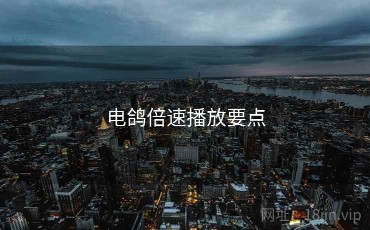 电鸽倍速播放要点