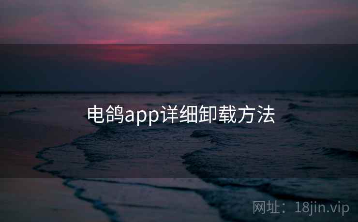 电鸽app详细卸载方法