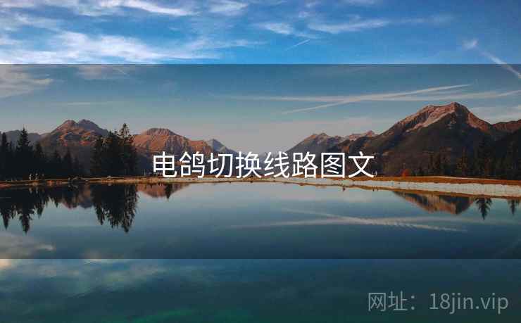 电鸽切换线路图文