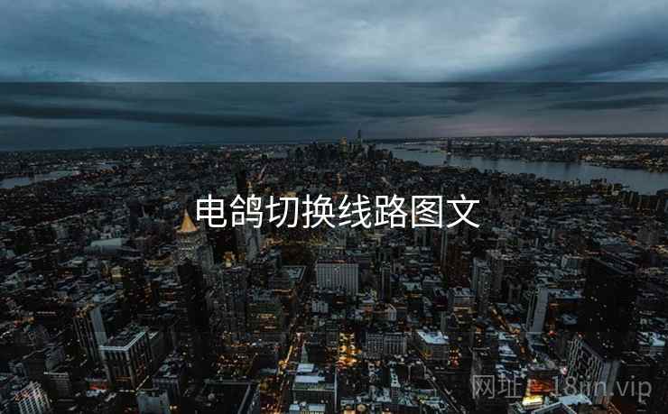 电鸽切换线路图文