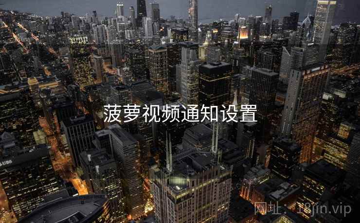 菠萝视频通知设置