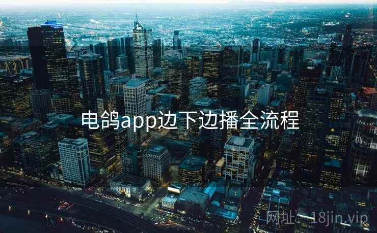 电鸽app边下边播全流程
