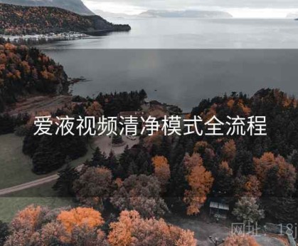 爱液视频清净模式全流程