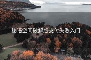 秘语空间破解版支付失败入门