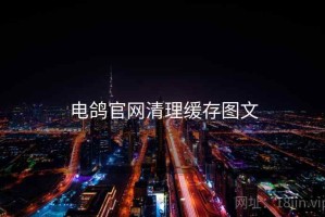 电鸽官网清理缓存图文