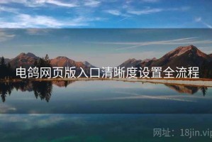 电鸽网页版入口清晰度设置全流程