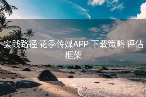 实践路径 花季传媒APP 下载策略 评估框架