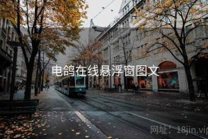 电鸽在线悬浮窗图文