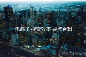 电鸽子 搜索效率 要点合辑