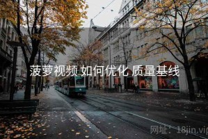 菠萝视频 如何优化 质量基线