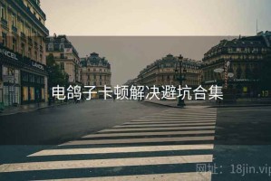 电鸽子卡顿解决避坑合集