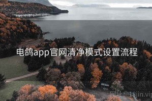 电鸽app官网清净模式设置流程
