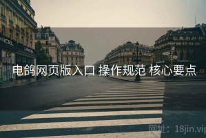 电鸽网页版入口 操作规范 核心要点