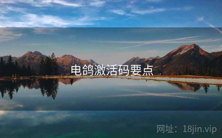 电鸽激活码要点