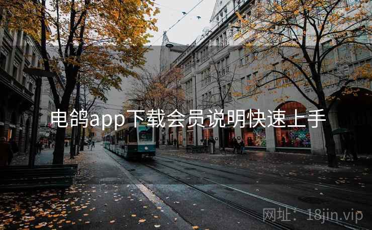 电鸽app下载会员说明快速上手
