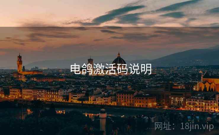 电鸽激活码说明