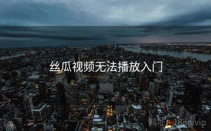 丝瓜视频无法播放入门