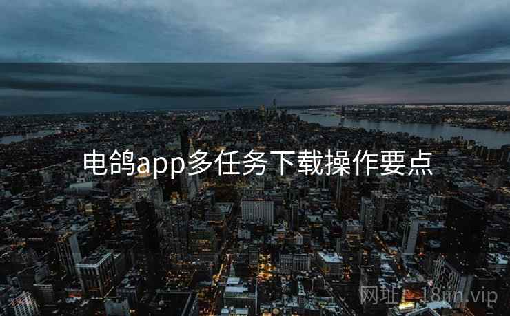 电鸽app多任务下载操作要点