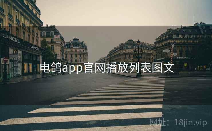 电鸽app官网播放列表图文