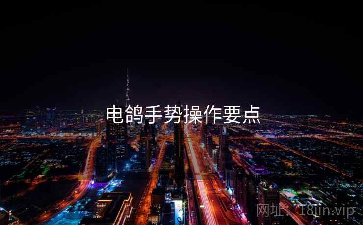 电鸽手势操作要点