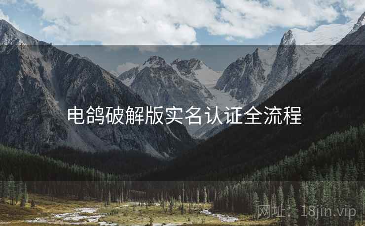 电鸽破解版实名认证全流程