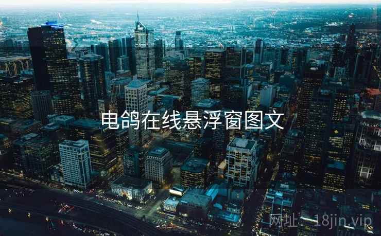 电鸽在线悬浮窗图文