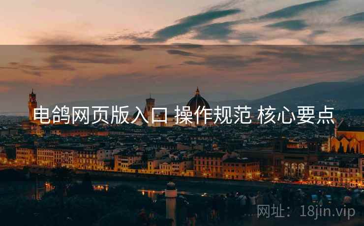 电鸽网页版入口 操作规范 核心要点