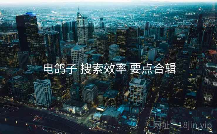 电鸽子 搜索效率 要点合辑