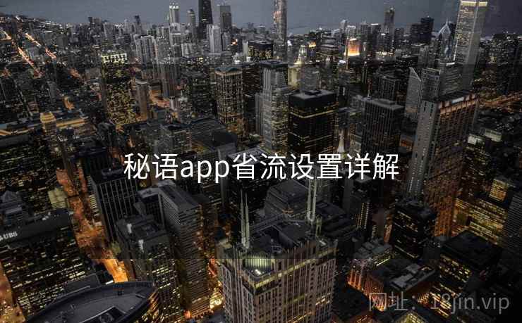 秘语app省流设置详解