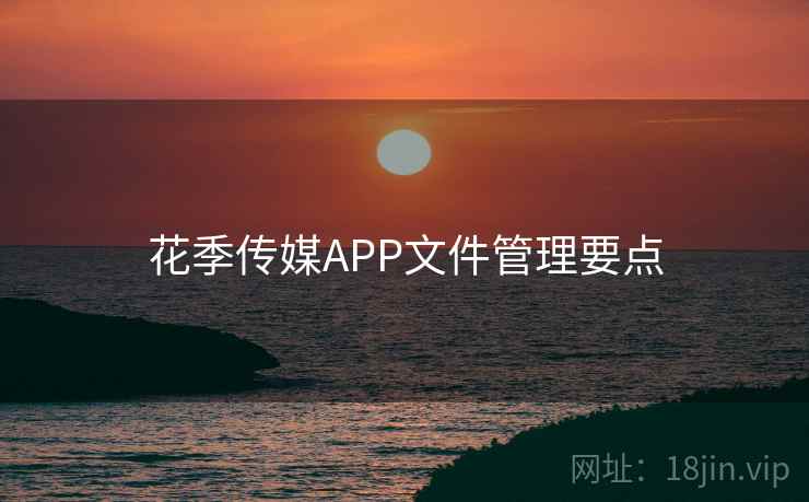 花季传媒APP文件管理要点