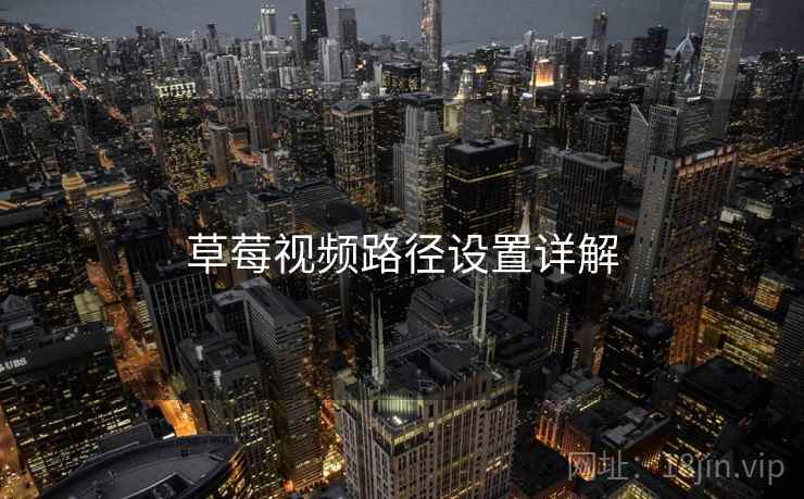 草莓视频路径设置详解