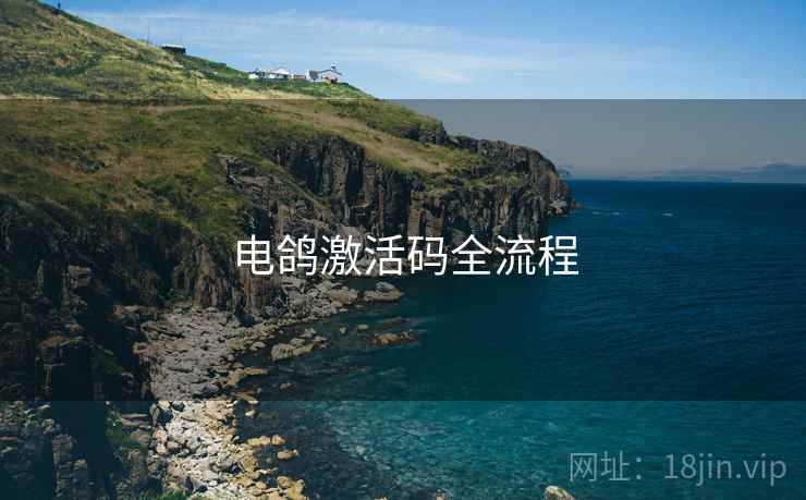 电鸽激活码全流程